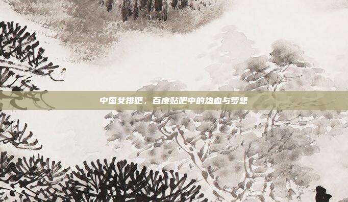 中国女排吧,百度贴吧中的热血与梦想