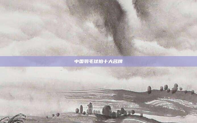 中国羽毛球拍十大名牌