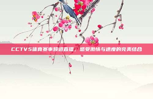 CCTV5体育赛事频道直播，感受激情与速度的完美结合