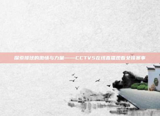 探索排球的激情与力量——CCTV5在线直播观看女排赛事