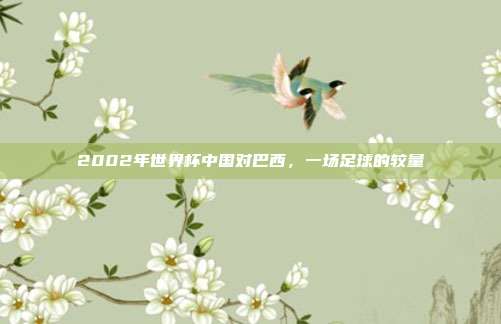 2002年世界杯中国对巴西,一场足球的较量