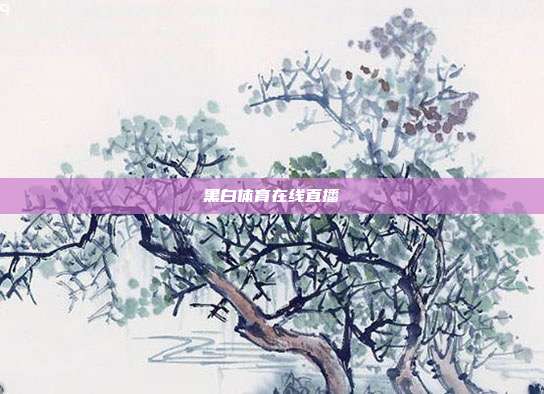 黑白体育在线直播