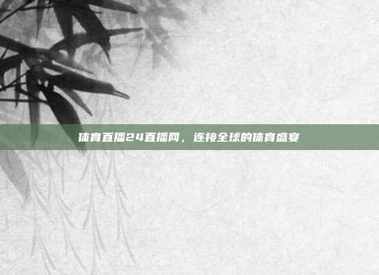 体育直播24直播网,连接全球的体育盛宴