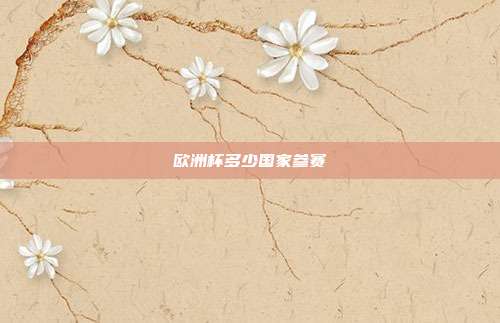 欧洲杯多少国家参赛