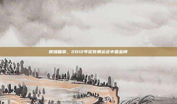 辉煌篇章,2012年伦敦奥运会中国金牌