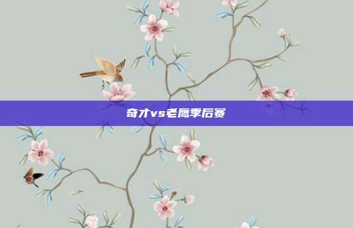 奇才vs老鹰季后赛
