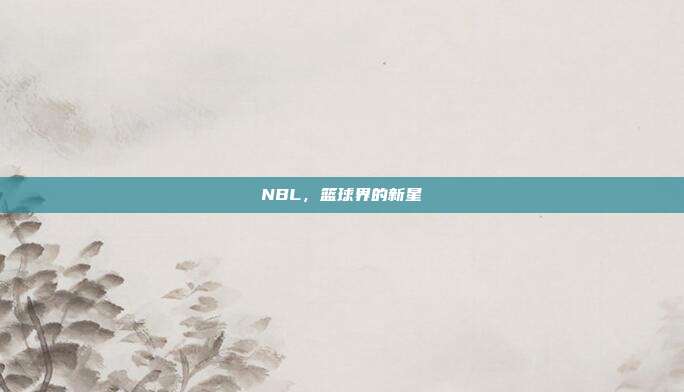 NBL，篮球界的新星