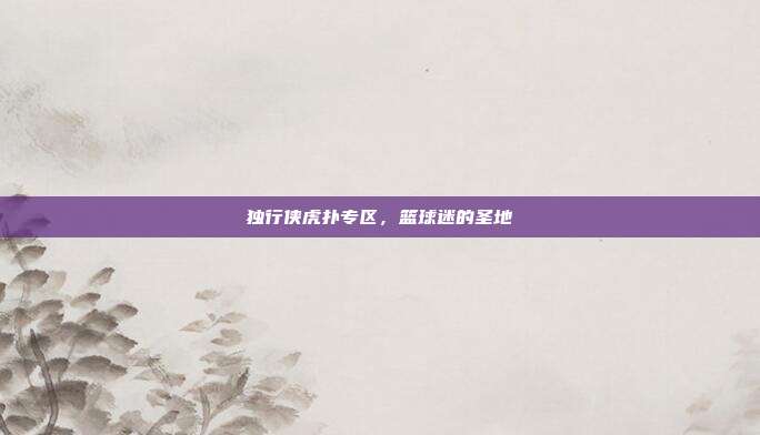 独行侠虎扑专区，篮球迷的圣地