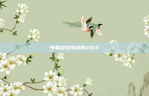 中国足球输越南0比9