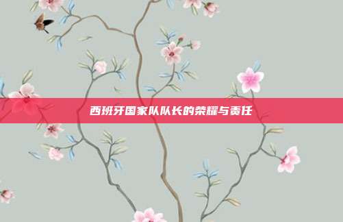 西班牙国家队队长的荣耀与责任