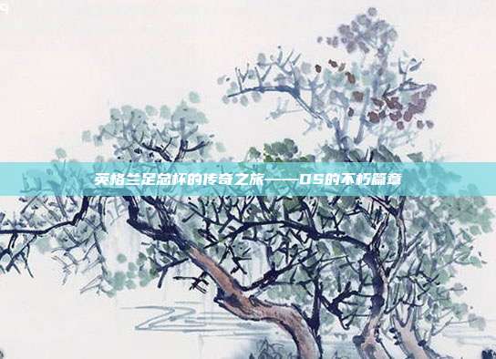 英格兰足总杯的传奇之旅——DS的不朽篇章
