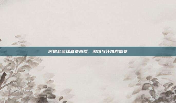 阿根廷篮球联赛直播，激情与汗水的盛宴