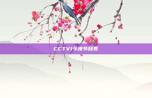 CCTV1今晚节目表
