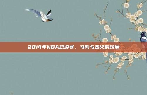 2014年NBA总决赛,马刺与热火的较量