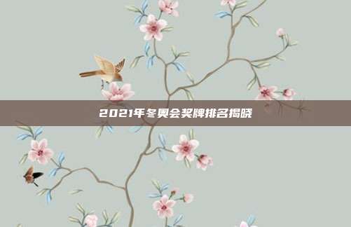 2021年冬奥会奖牌排名揭晓
