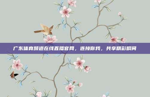 广东体育频道在线直播官网,连接你我,共享精彩瞬间