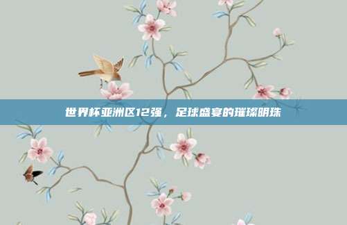 世界杯亚洲区12强,足球盛宴的璀璨明珠