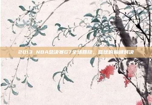 2013 NBA总决赛G7全场回放，篮球的巅峰对决