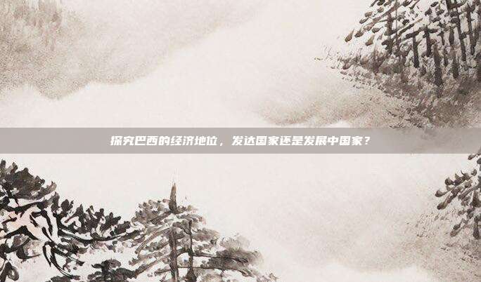 探究巴西的经济地位，发达国家还是发展中国家？