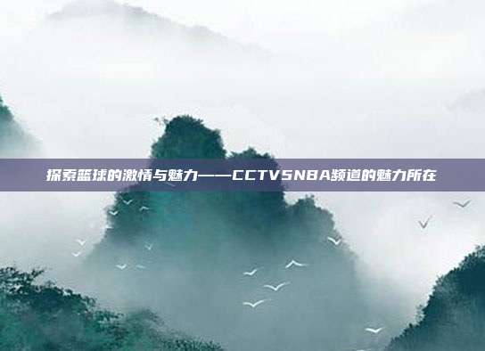 探索篮球的激情与魅力——CCTV5NBA频道的魅力所在