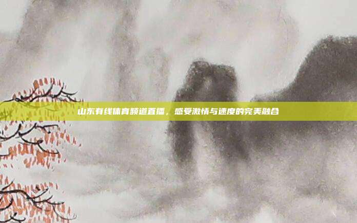 山东有线体育频道直播,感受激情与速度的完美融合