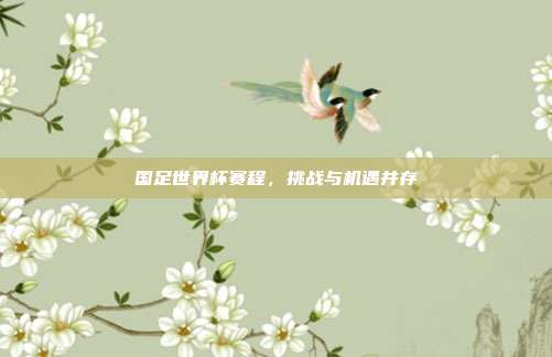 国足世界杯赛程,挑战与机遇并存