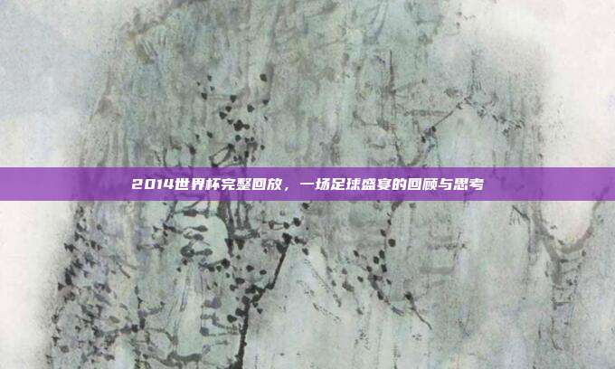 2014世界杯完整回放，一场足球盛宴的回顾与思考