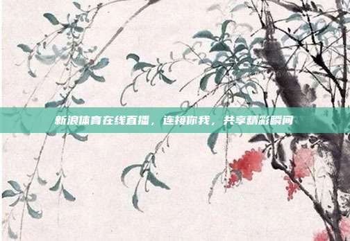 新浪体育在线直播，连接你我，共享精彩瞬间
