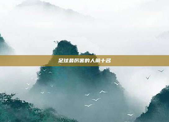 足球最厉害的人前十名