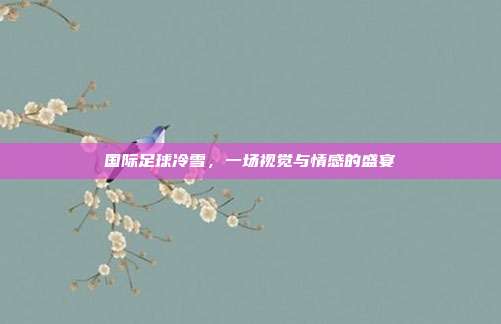国际足球冷雪,一场视觉与情感的盛宴