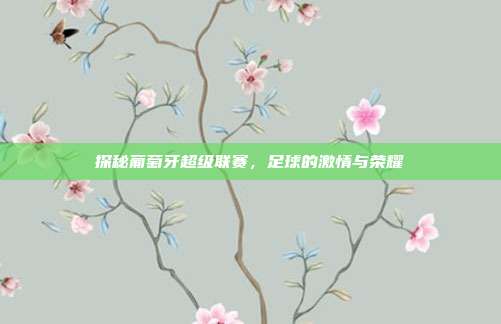 探秘葡萄牙超级联赛,足球的激情与荣耀