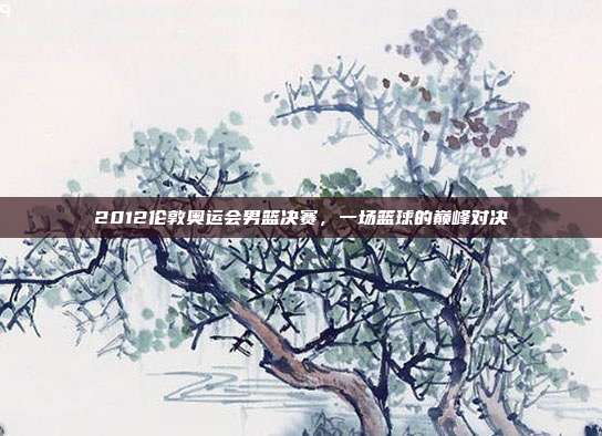 2012伦敦奥运会男篮决赛,一场篮球的巅峰对决
