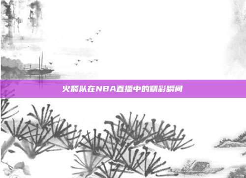 火箭队在NBA直播中的精彩瞬间