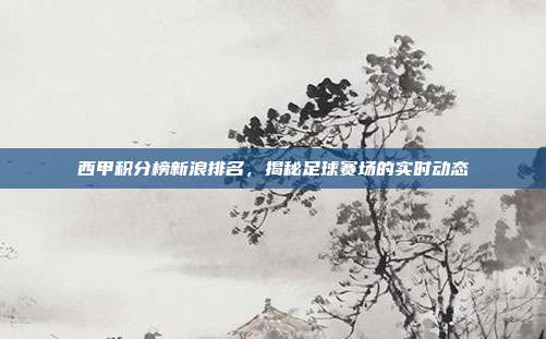 西甲积分榜新浪排名，揭秘足球赛场的实时动态