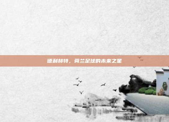 德利赫特,荷兰足球的未来之星