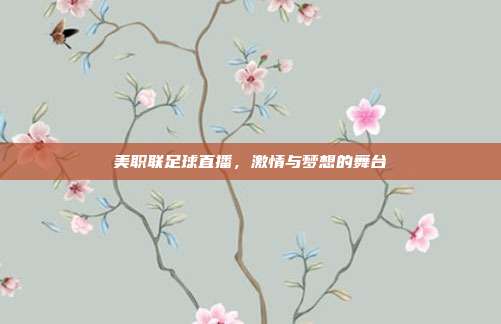 美职联足球直播,激情与梦想的舞台