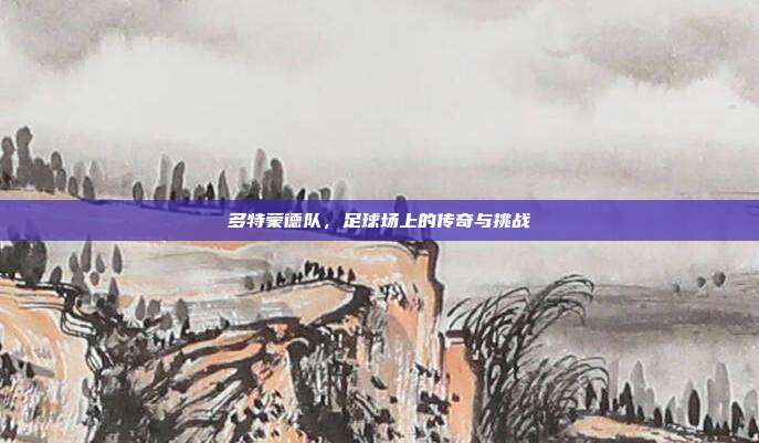 多特蒙德队，足球场上的传奇与挑战