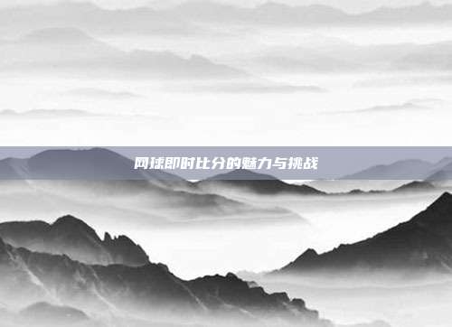 网球即时比分的魅力与挑战