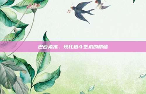 巴西柔术，现代格斗艺术的精髓
