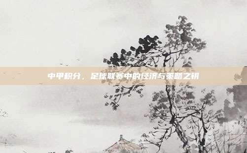 中甲积分,足球联赛中的经济与策略之钥