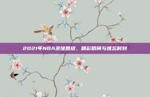2021年NBA录像回放,精彩瞬间与难忘时刻