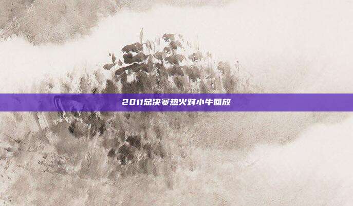 2011总决赛热火对小牛回放