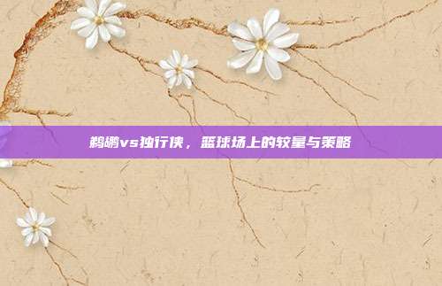 鹈鹕vs独行侠,篮球场上的较量与策略