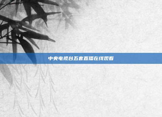 中央电视台五套直播在线观看