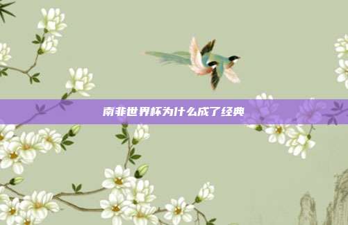 南非世界杯为什么成了经典