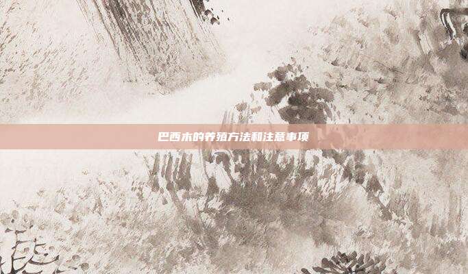 巴西木的养殖方法和注意事项