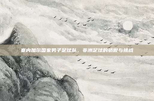塞内加尔国家男子足球队，非洲足球的骄傲与挑战