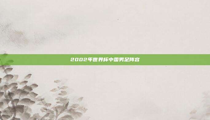 2002年世界杯中国男足阵容