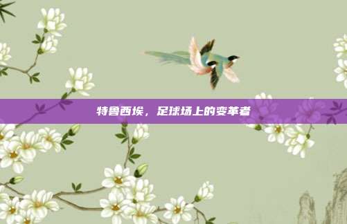 特鲁西埃，足球场上的变革者