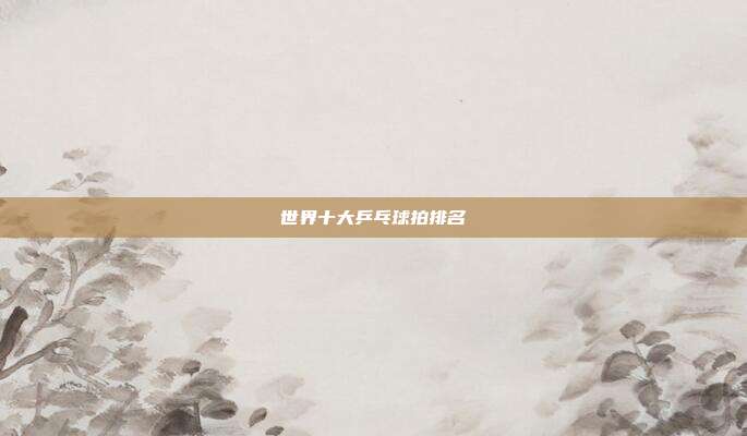 世界十大乒乓球拍排名
